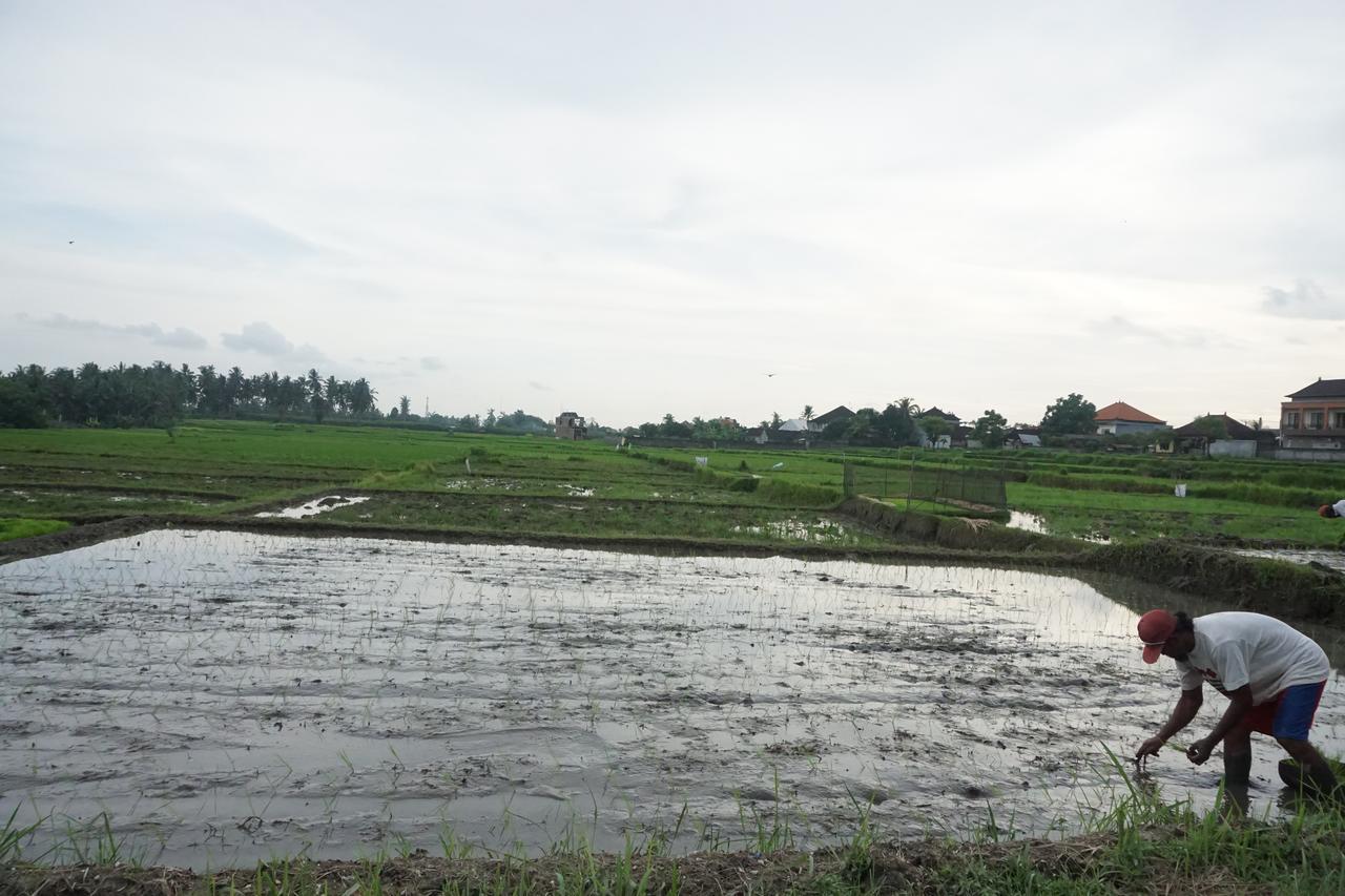 Pondok Uma Ubud エクステリア 写真